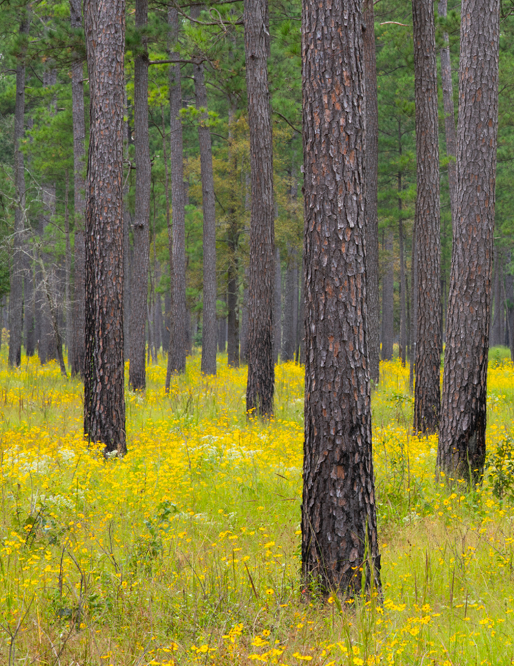 Land based solutions