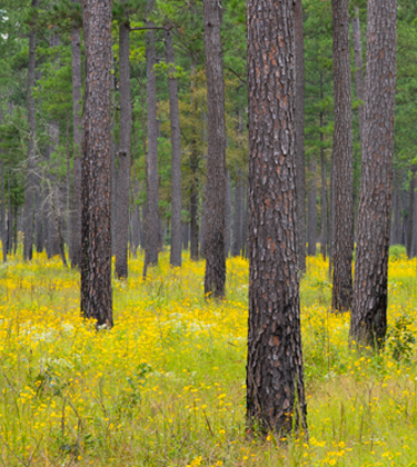 Land based solutions