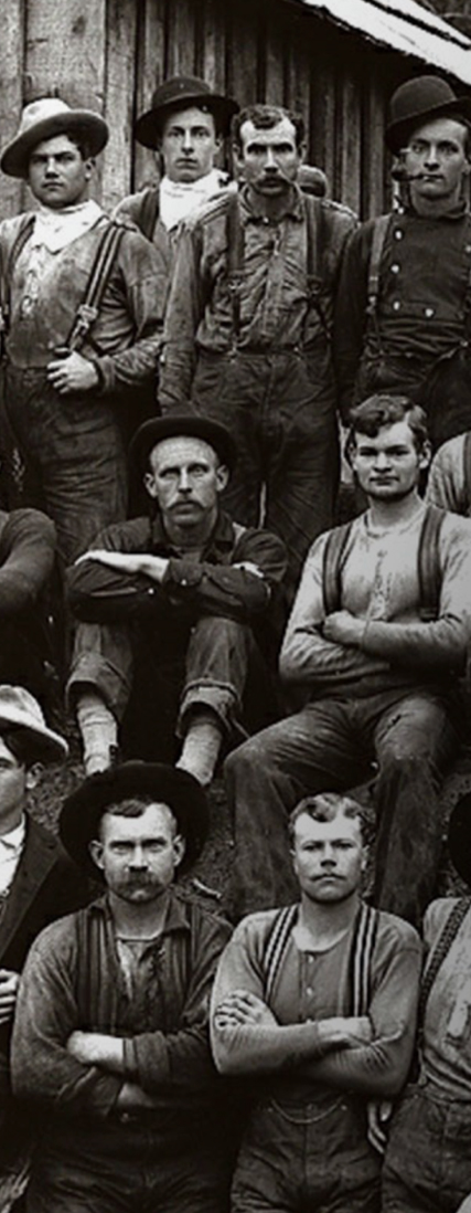 Team member in field