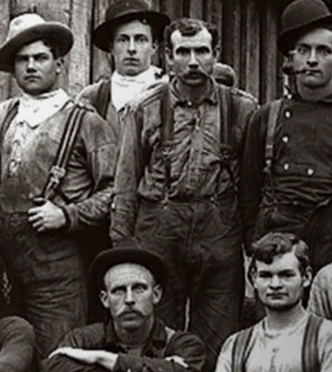 Team member in field